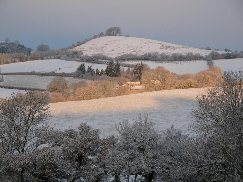 The Ollerod Hotel Beaminster Buitenkant foto